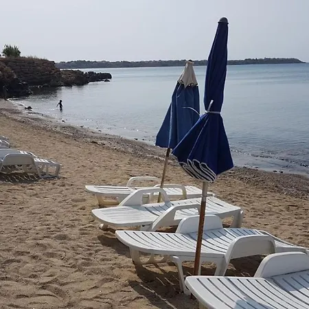 Sul Mare N 2 *